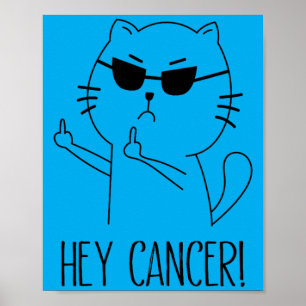 Hey Krebs F U Lustige Katze Mittelfinger Krebs Poster