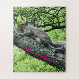 Hey! Lass mich in Ruhe! Verärgertes Eichhörnchen 