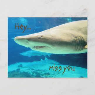 Hey, Miss dich Postcard. Postkarte