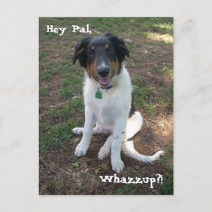 Hey Pal, Whazzup?! Postkarte