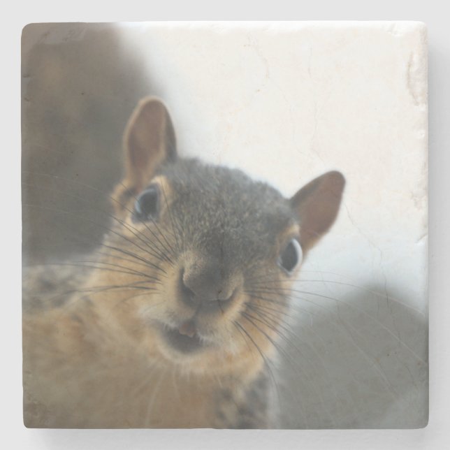 Hey, Steinuntersetzer (Vorderseite)