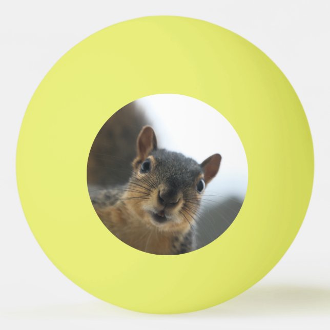 Hey, Tischtennisball (Vorderseite)