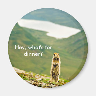 Hey, was ist zum Abendessen? Magnet