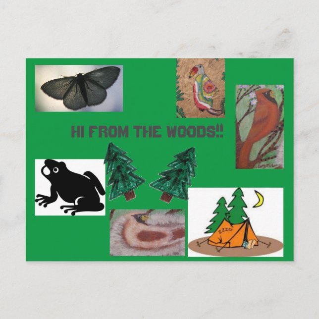 Hi aus dem Waldlager Postkarte (Vorderseite)