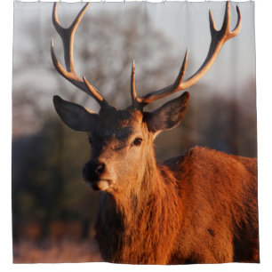HI DEER DUSCHVORHANG