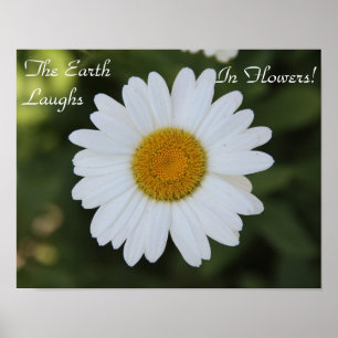 Hi-def-Fotografie eines Daisy, "Die Erde lacht in Poster
