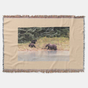Hi def Fotografie von Mutter Grizzly und 2 Cubs Decke