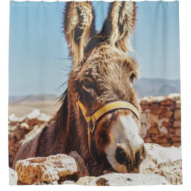 HI DONKEY DUSCHVORHANG (Vorderseite)