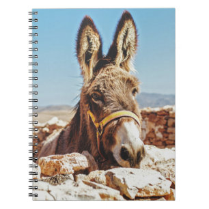 HI DONKEY NOTIZBLOCK
