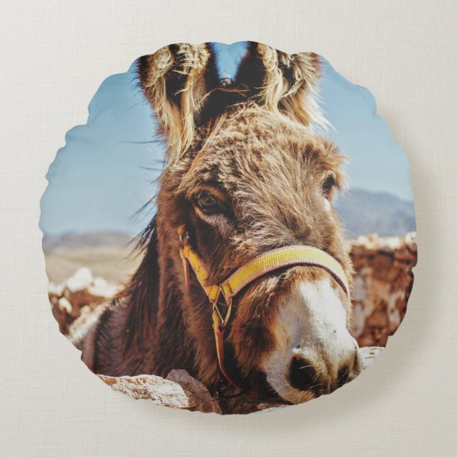 HI DONKEY RUNDES KISSEN (Vorderseite)