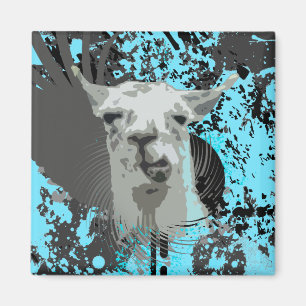 Hi-Fi-Lama. Magnet