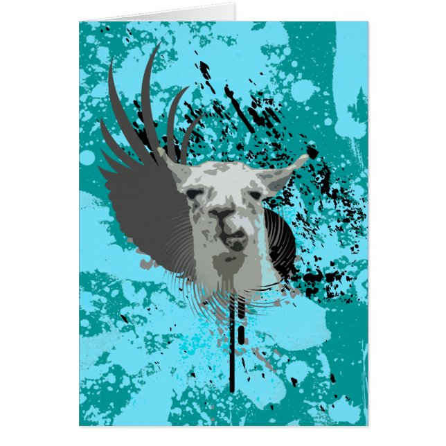 hi-fi llama. (Devant)