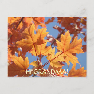 HI GRANDMA! POST CARD Orange Autumn Leaves Trees Postkarte
