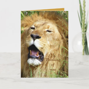 Hi, Hello_ Card Karte