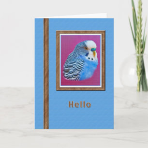 Hi/Hello Karte mit blauem Parakeet