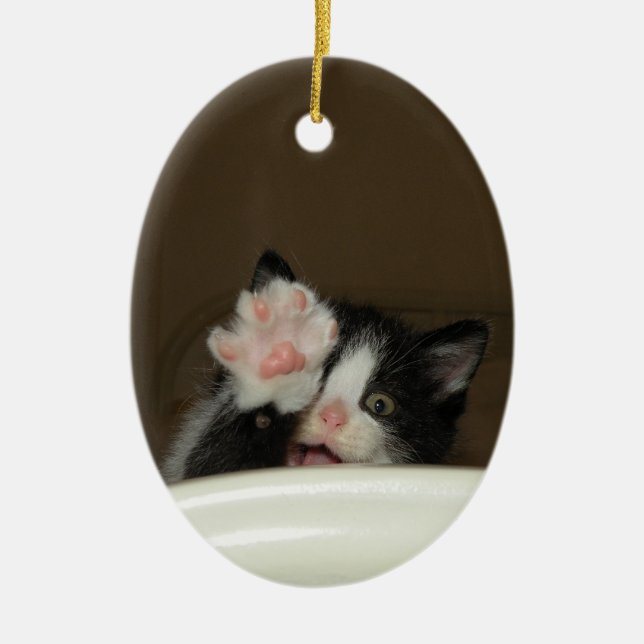 "Hi Kitten"-Ornament Keramik Ornament (Vorne)