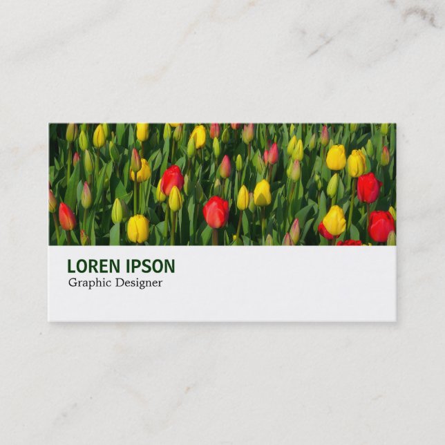 Hi-Phi - 003 - Tulips Visitenkarte (Vorderseite)