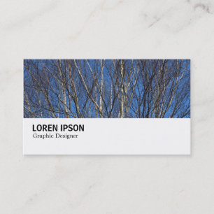 Hi-Phi - 0280 - Silberne Zweige Visitenkarte