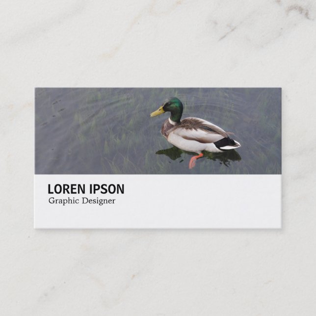 Hi-Phi - 0282 - Mallard Duck Visitenkarte (Vorderseite)