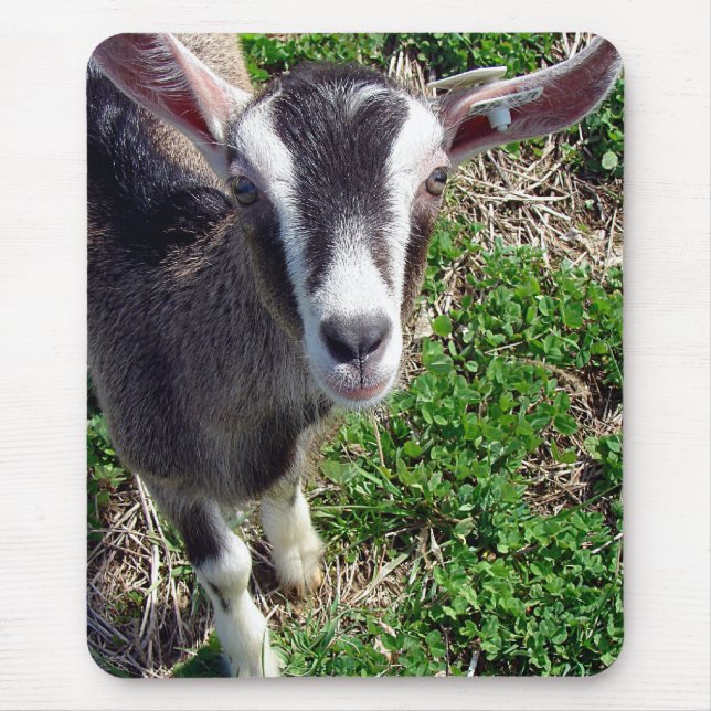 Hi There Goat Mousepad (Vorne)