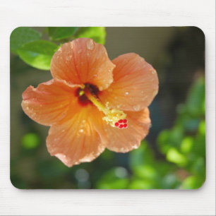Hibiscis Blume Mousepad