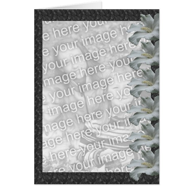 Hibiscus blanc Carte photo de design floral (Devant)