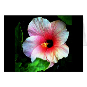 Hibiscus jGibney Le Musée Zazzle