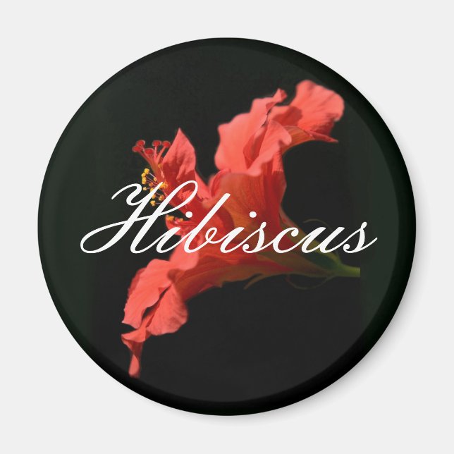Hibiscus Magnet (Vorne)