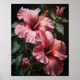 Hibiscus rose Fleurs Art Imprimer Poster