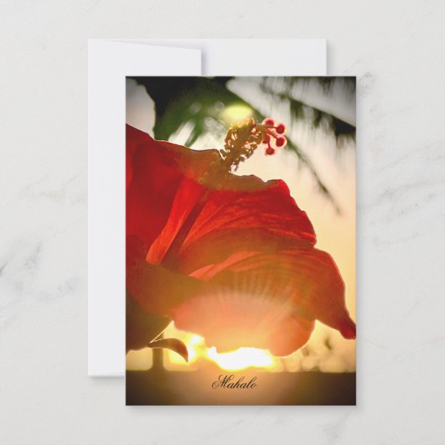 Hibiscus tropical Carte de remerciements (Devant)
