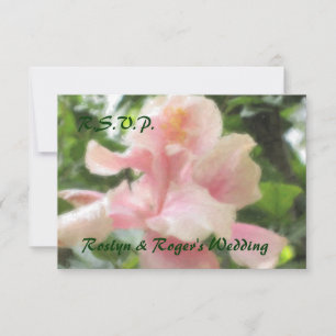 Hibiscus Tropical Hawaïen Cartes RSVP