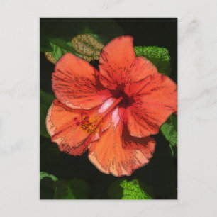 Hibisken 424 postkarte