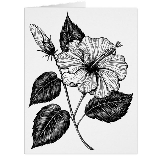 Hibisken Blume II (Vorderseite)