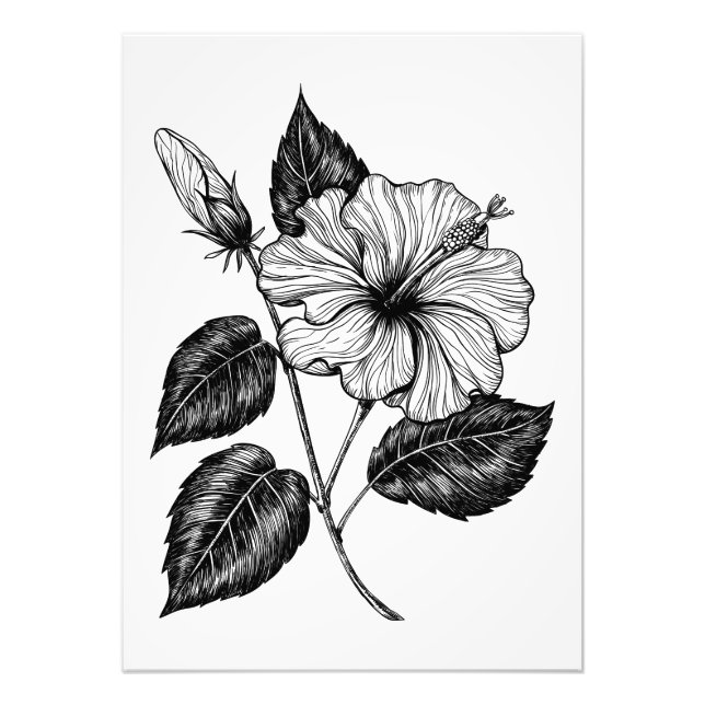 HIBISKEN BLUME II FOTODRUCK (Vorne)