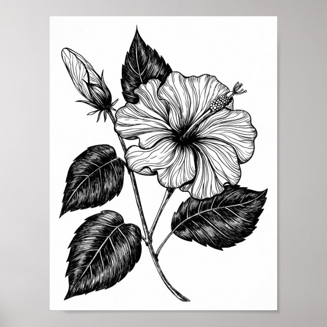 HIBISKEN BLUME II POSTER (Vorne)