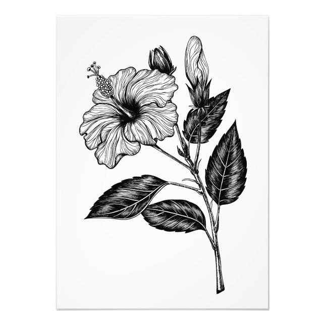 HIBISKEN BLUME III FOTODRUCK (Vorne)