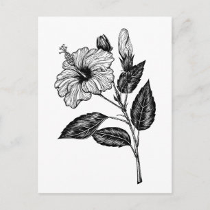 HIBISKEN BLUME III POSTKARTE