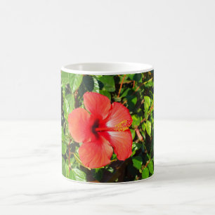 Hibisken Blume Kaffeetasse