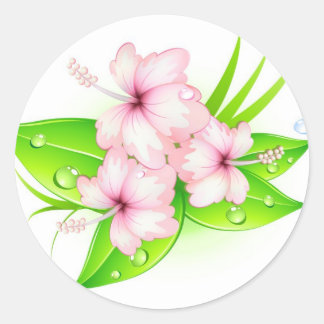 Hibisken-Blume Runder Aufkleber
