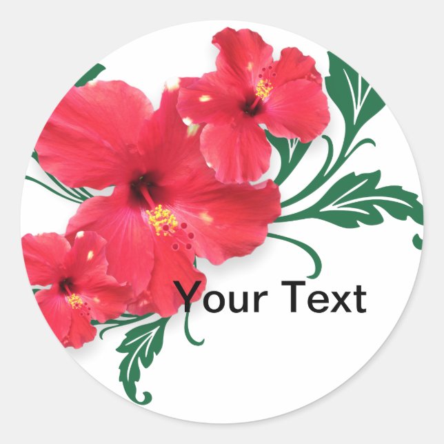 Hibisken-Blume Runder Aufkleber (Vorderseite)