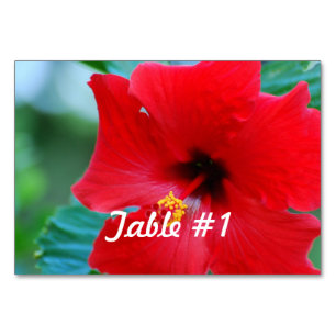 Hibisken-Blume Tischnummer