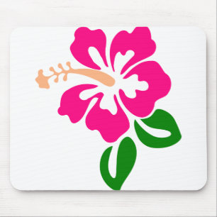 Hibisken Blume Tropic Bloom Blossom Botanische Mousepad