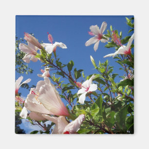 Hibisken Landschaftlich Magnet