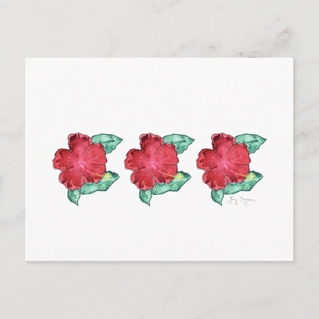 Hibisken Postkarte (Vorderseite)