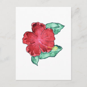 Hibisken Postkarte