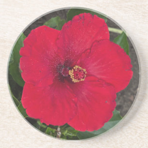 Hibisken Untersetzer