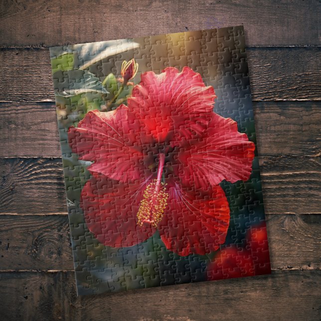 Hibiskus (Von Creator hochgeladen)
