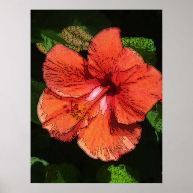 Hibiskus 424 tropische rote Blume Poster (Vorne)