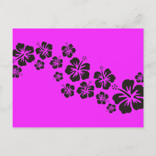 Hibiskus blüht in Schwarz rosa Postkarte
