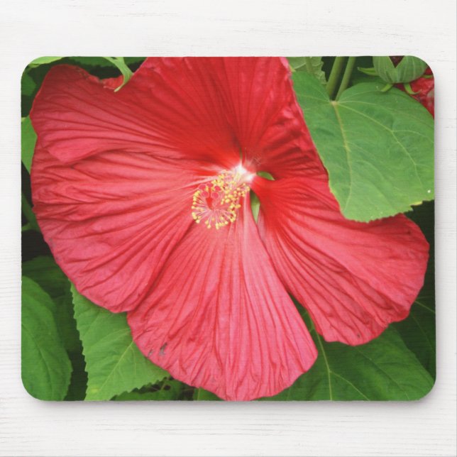 Hibiskus Blume Bright Magenta Mousepad (Vorne)
